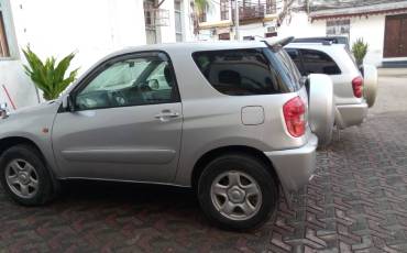 RAV4 Small