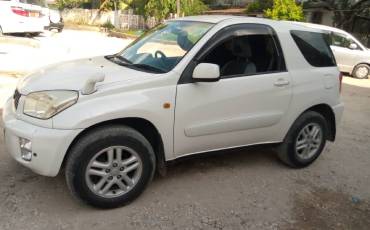 RAV4 Small